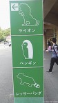 天王寺動物園のペンギン舎からは話題の高層ビルが見られます(^○^)!!