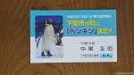 12月１日にペンギンが下関市の「市の鳥」に正式に指定されました(^○^)!!