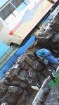 雪のマリンピア松島水族館ペンギンランドです～マリンピアクラブ「忘年会・牡蠣小屋ツアー」報告～その３～(^○^)!!