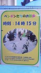 マリンピア松島水族館のペンギンのお散歩は14時半からです～マリンピアクラブ「忘年会・牡蠣小屋ツアー」報告その４(最終回)～(^○^)!!