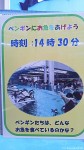 マリンピア松島水族館のペンギンのお散歩は14時半からです～マリンピアクラブ「忘年会・牡蠣小屋ツアー」報告その４(最終回)～(^○^)!!