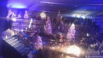 すみだ水族館の「クリスマスイベント」では屋内開放型ペンギン展示施設の特長が最大限活かされていました(^○^)!!