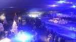 すみだ水族館の「クリスマスイベント」では屋内開放型ペンギン展示施設の特長が最大限活かされていました(^○^)!!