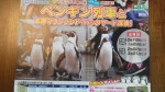 近鉄線の構内で見かけたペンギンイベントポスターです(^○^)!!