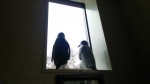 友人のＹ様から榛名湖にあるペンギンホテルの情報をいただきました(^○^)!!