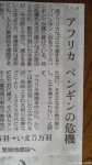 ケープペンギンの危機について４月15日に新たな新聞報道がありました(^○^)!!