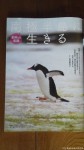 『週刊新潮』(４月30日号)のカラーグラビアに南極半島のジェンツーペンギンが紹介されています(^○^)!!