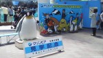 マリンピア松島水族館名物=「記念撮影用巨大ペンギンぬいぐるみ」再就職先募集のご案内です(^○^)!!