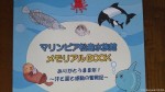 マリンピア松島水族館メモリアルブックの発行部数が８００冊を突破しました(^○^)!!