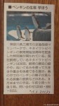 京急油壺マリンパークで「キタイワトビペンギン飼育30周年記念特別展」が開催されているそうです(^○^)!!