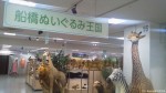 船橋市内の某デパートの催事場で開催されていた「ぬいぐるみ王国」展です(^○^)!!