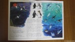 京都のイラストレーター=ドメチカ様から『ペンギン カフェ』最新号=No.21をいただきました(^○^)!!