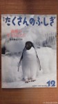 月刊『たくさんのふしぎ』(2015年12月号=第369号、水口博也著、福音館書店発行)は「南極のいきものたち」がテーマです(^○^)!!