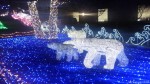 天王寺公園のクリスマスイルミネーションです～オマケ～(^○^)!!