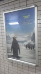 今度は…「街角のペンギンポスター」です(^○^)!!