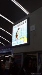 ＪＲ京都駅の改札口ではケープペンギンが礼儀正しくお客様をお出迎えしております(^○^)!!