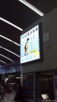 ＪＲ京都駅の改札口ではケープペンギンが礼儀正しくお客様をお出迎えしております(^○^)!!