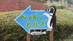 ４月24日(日)埼玉県こども動物自然公園にて「ペンギンヒルズオープン５周年記念イベント」が開催され江戸家小猫さんと日橋前園長、飼育担当の小山さん、上田がお話を致します(^○^)!!