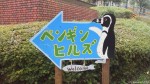 「第４回ペンギン・キャンプ」の参加者募集が始まりました(^○^)!!