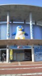 「長崎ペンギン水族館開館15周年記念セレモニー」と「ペンギン・トークショー」においでいただき本当にありがとうございました(^○^)!!～前編～