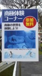 「長崎ペンギン水族館開館15周年記念セレモニー」と「ペンギン・トークショー」においでいただき本当にありがとうございました(^○^)!!～後編～