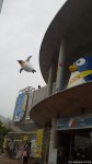 「長崎ペンギン水族館開館15周年記念セレモニー」と「ペンギン・トークショー」においでいただき本当にありがとうございました(^○^)!!～前編～