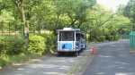 埼玉県子ども動物自然公園の最新型彩ポッポは「青いペンギン号」です(^○^)!!